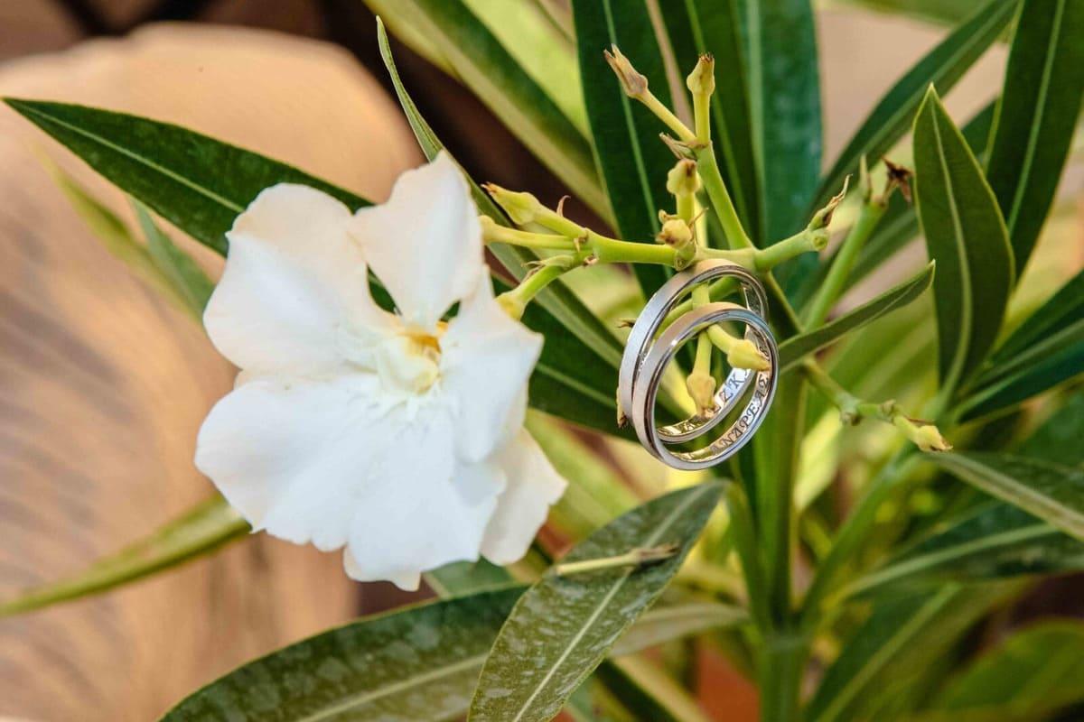 Ανδρέας & Άννα - Αθήνα : Real Wedding by Light And Motion 